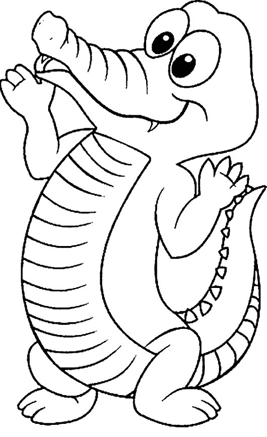 Un mignon crocodile