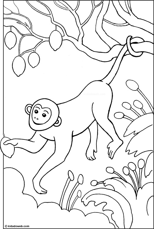 Un singe perché sur un arbre