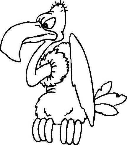 Vautour perché