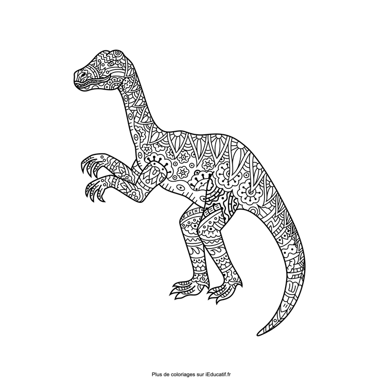 Mandala Raptor Coloriage dinosaure mandala raptor à imprimer